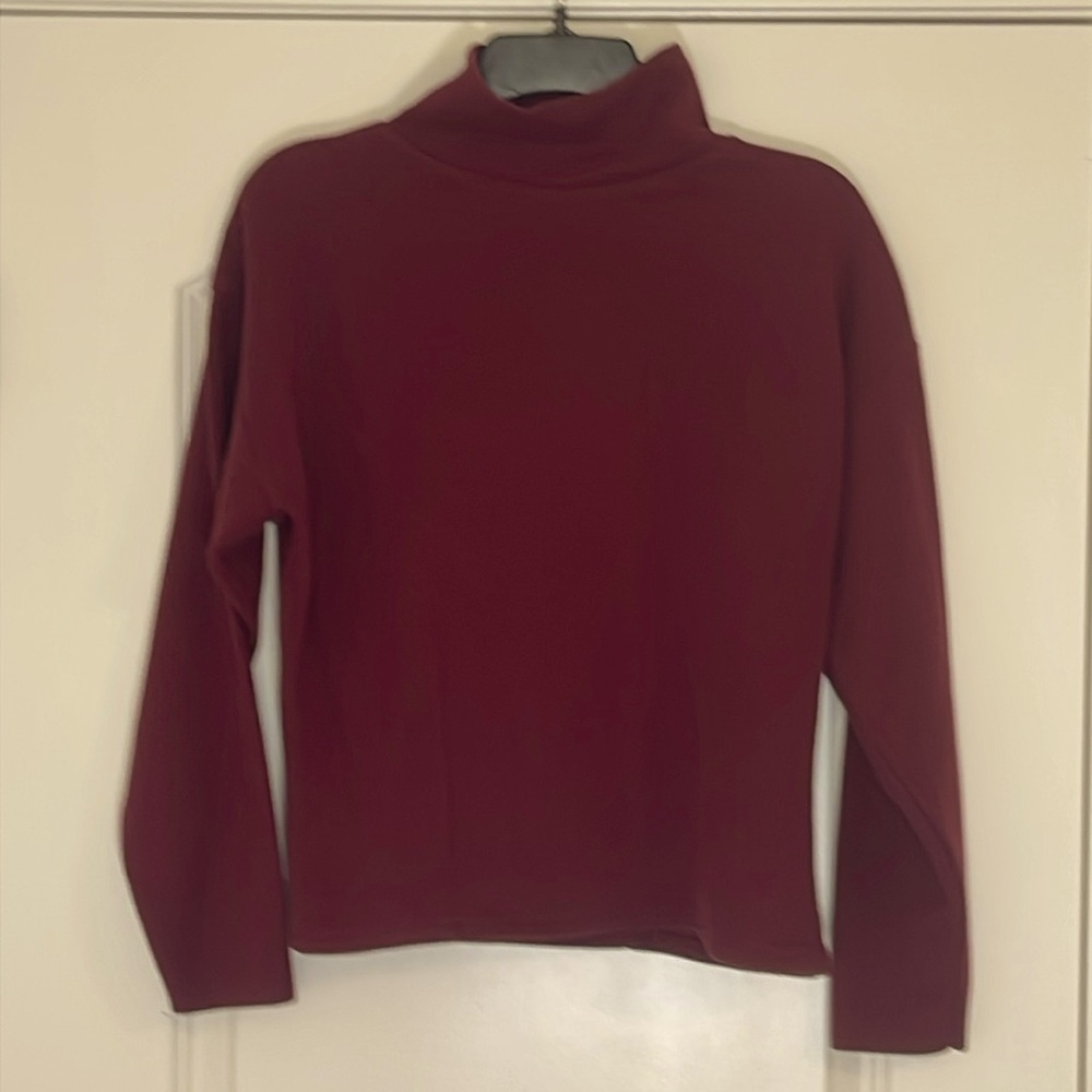 Express Tricot Maroon Turtleneck Long Sleeve Sweater Size M